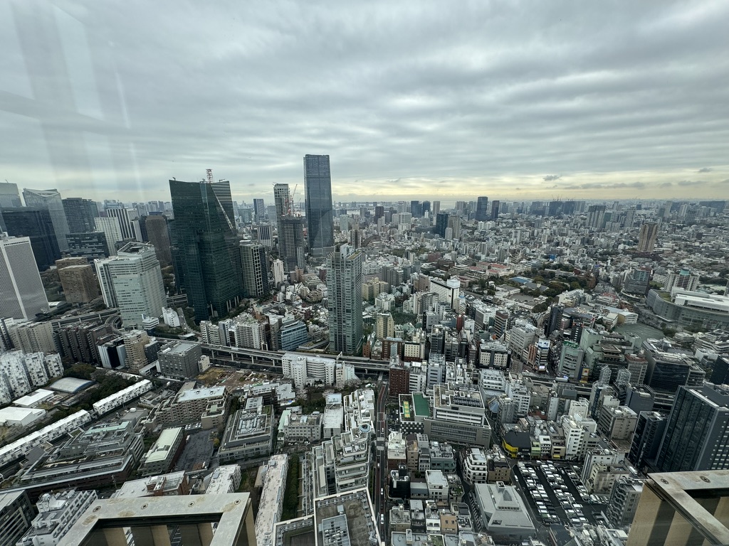 ザ・リッツ・カールトン東京 45階からの東京の街並み 絶景