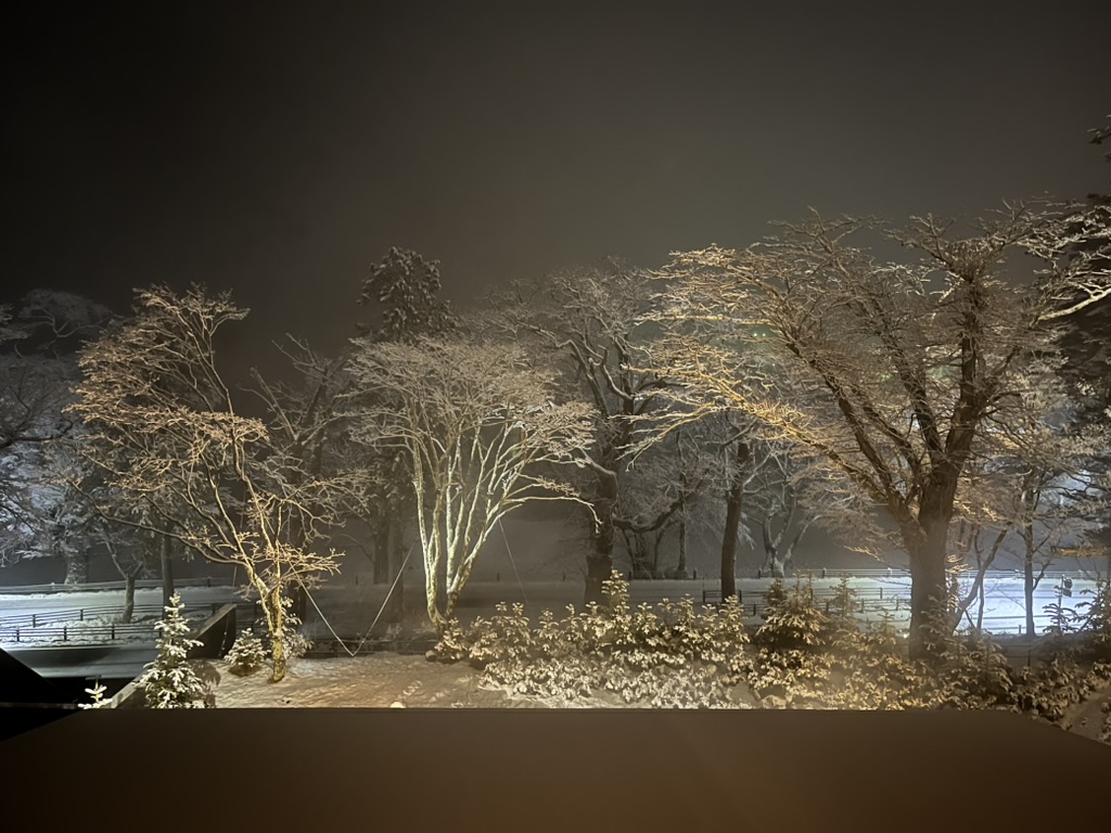 リッツカールトン日光 客室バルコニーからの夜の雪景色(ライトアップ)