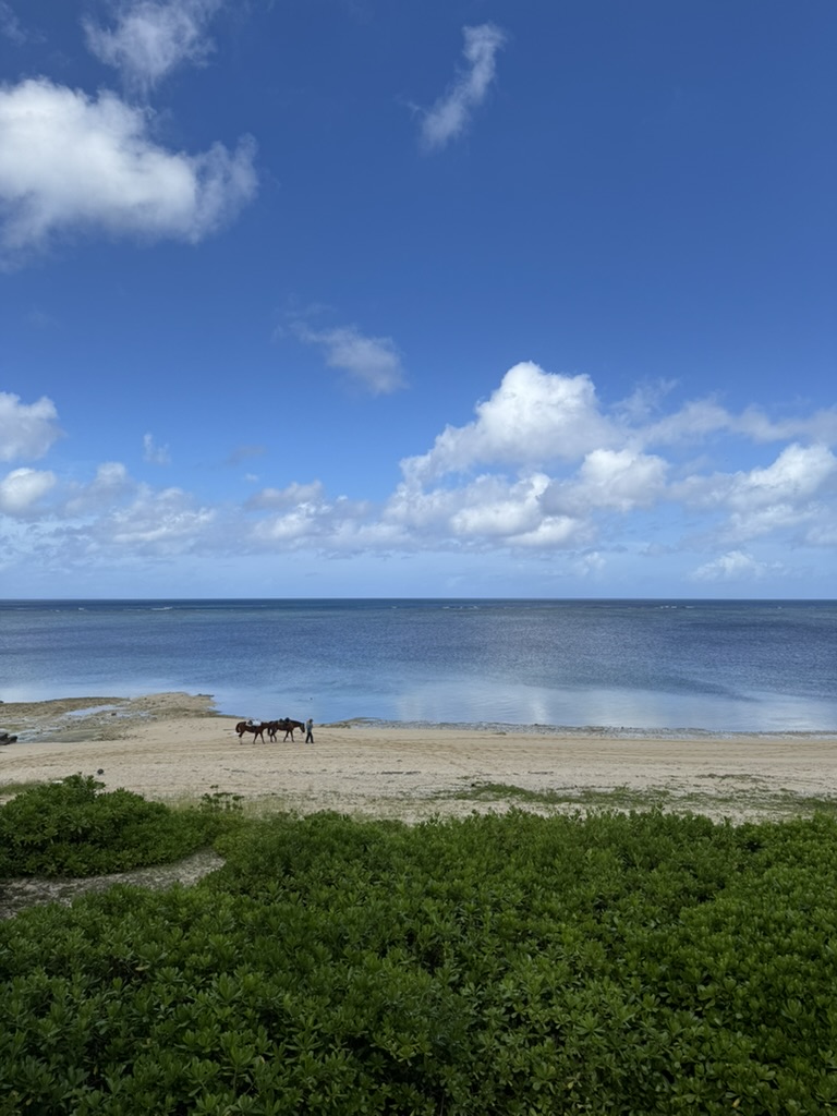 星のや沖縄 客室から見える朝の海と乗馬アクティビティ（朝凪よんなー乗馬）